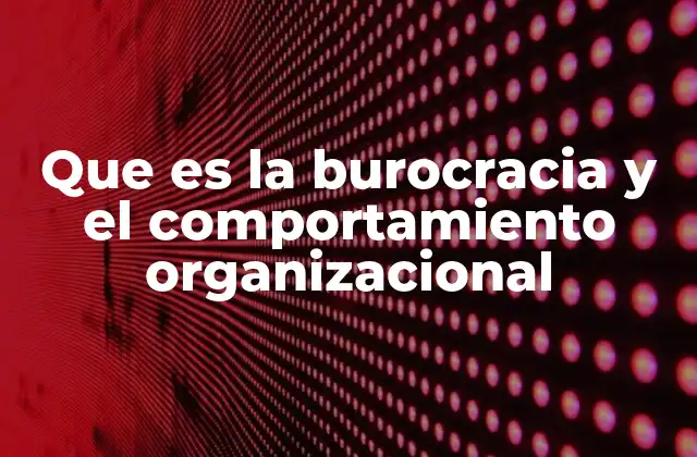 Que es la Burocracia y el Comportamiento Organizacional