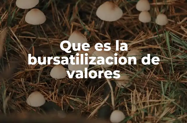 Que es la Bursatilizacion de Valores