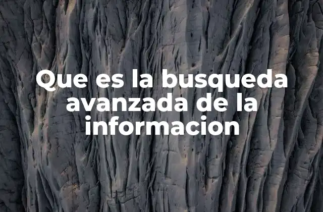 Que es la Busqueda Avanzada de la Informacion 2 La importancia de buscar con precisión en internet