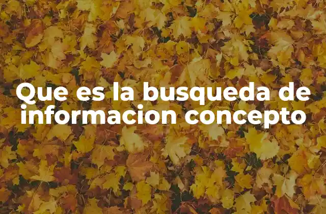 El proceso de búsqueda de información y sus fases