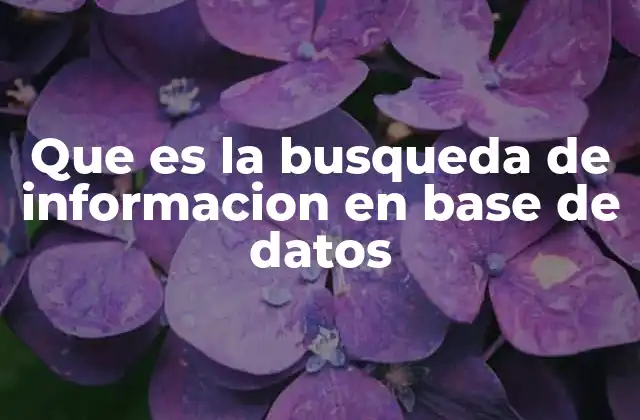 Que es la Busqueda de Informacion en Base de Datos