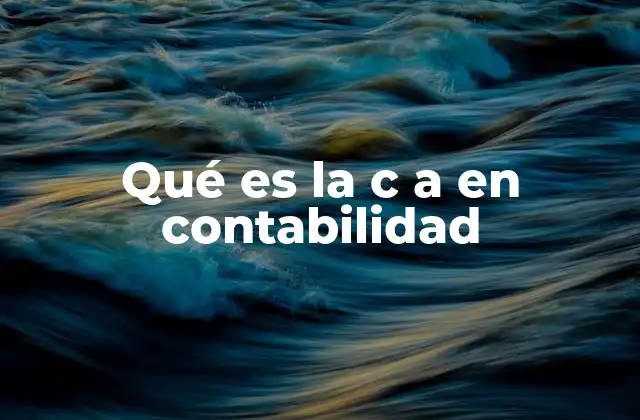 Qué es la C a en Contabilidad 2 El rol de las cuentas auxiliares en la contabilidad