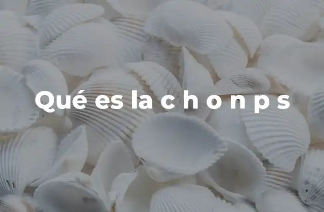 Qué es la C H o N P S 2 Interpretaciones posibles de c h o n p s