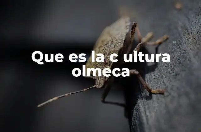 Que es la C Ultura Olmeca