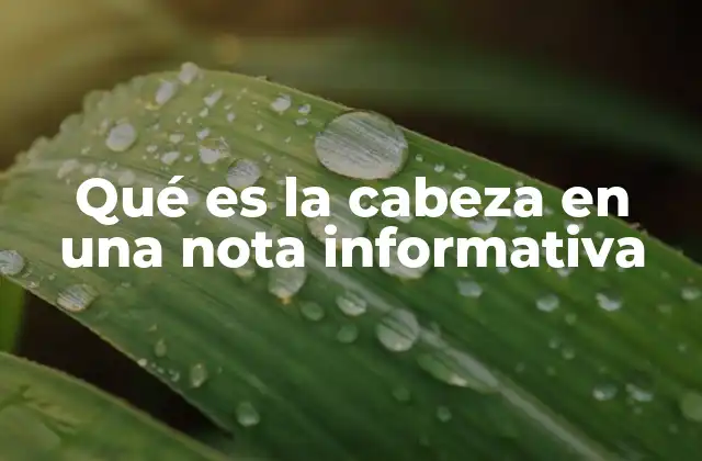 Qué es la Cabeza en una Nota Informativa