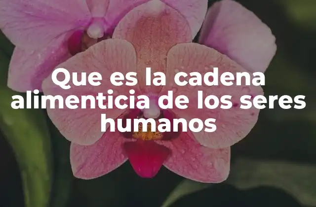 Que es la Cadena Alimenticia de los Seres Humanos