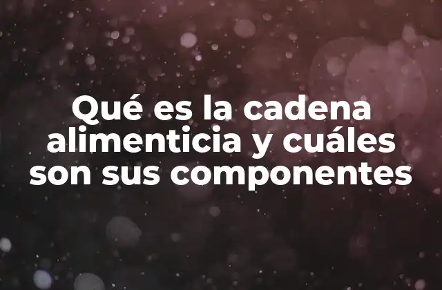 Qué es la Cadena Alimenticia y Cuáles Son Sus Componentes