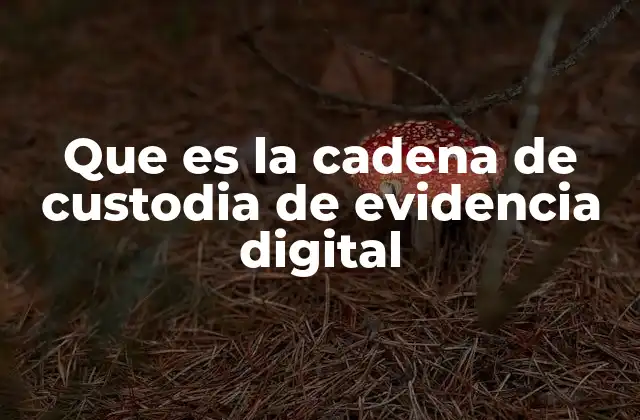 Que es la Cadena de Custodia de Evidencia Digital