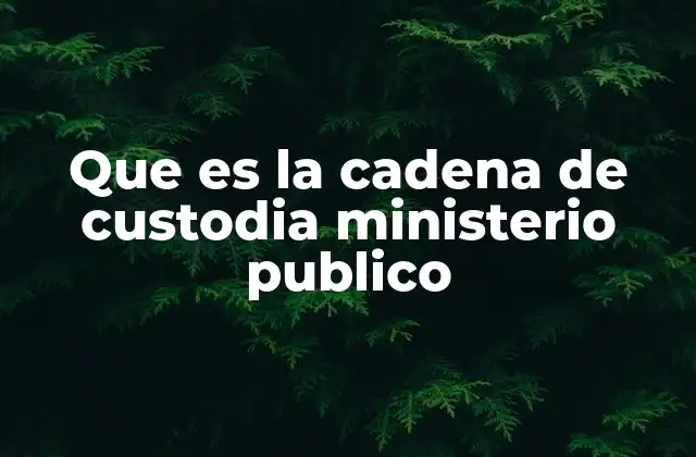 Que es la Cadena de Custodia Ministerio Publico 2 La importancia de la cadena de custodia en el sistema judicial