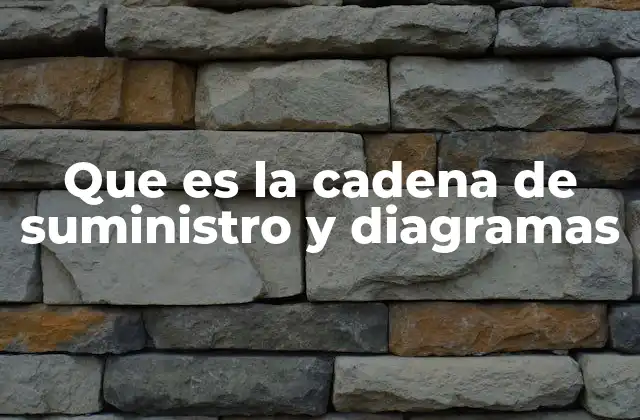 Que es la Cadena de Suministro y Diagramas