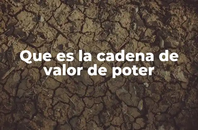 Que es la Cadena de Valor de Poter