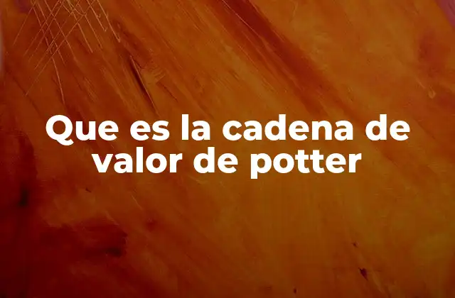 Que es la Cadena de Valor de Potter