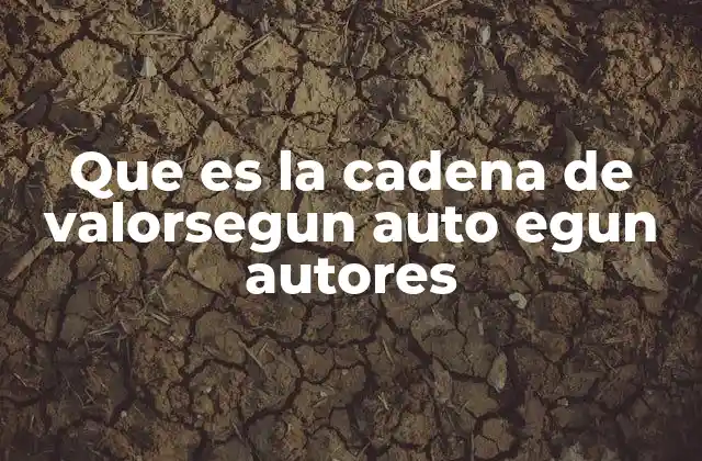 Que es la Cadena de Valorsegun Auto Egun Autores