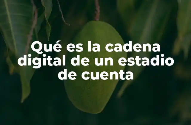 Qué es la Cadena Digital de un Estadio de Cuenta