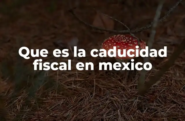 Que es la Caducidad Fiscal en Mexico