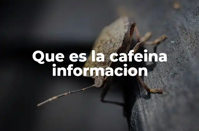 Que es la Cafeina Informacion