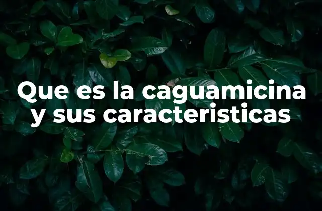 Que es la Caguamicina y Sus Caracteristicas