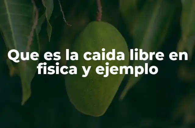 Que es la Caida Libre en Fisica y Ejemplo