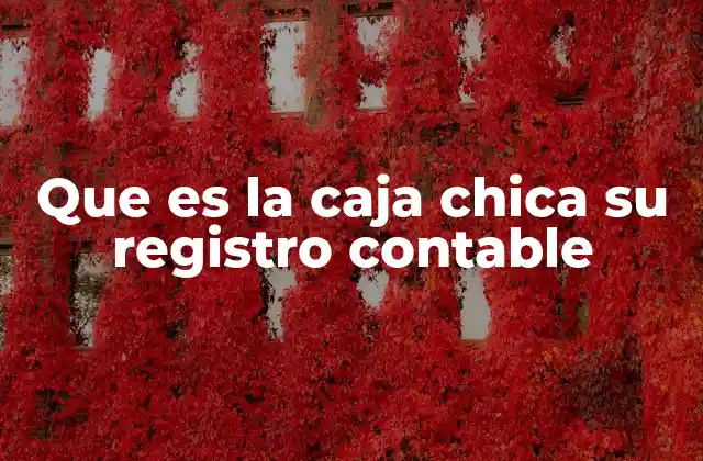 Que es la Caja Chica Su Registro Contable