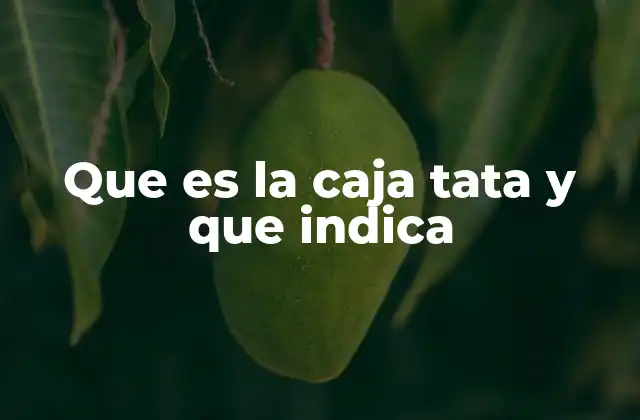 Que es la Caja Tata y que Indica