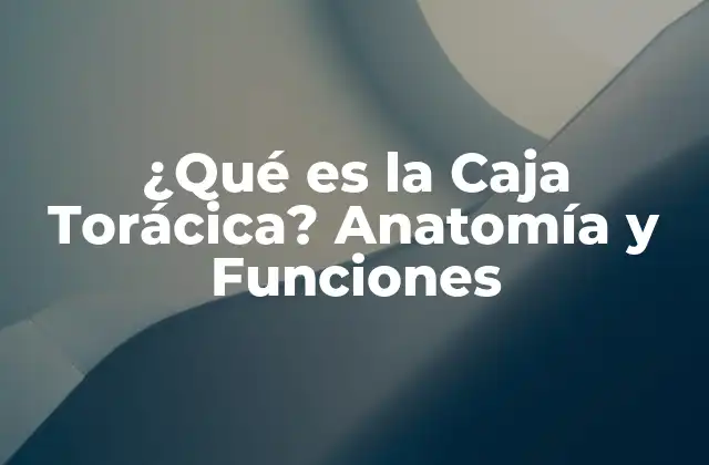 Anatomía de la Caja Torácica