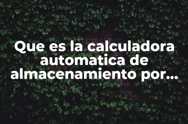 Que es la Calculadora Automatica de Almacenamiento por Retardo Electronico