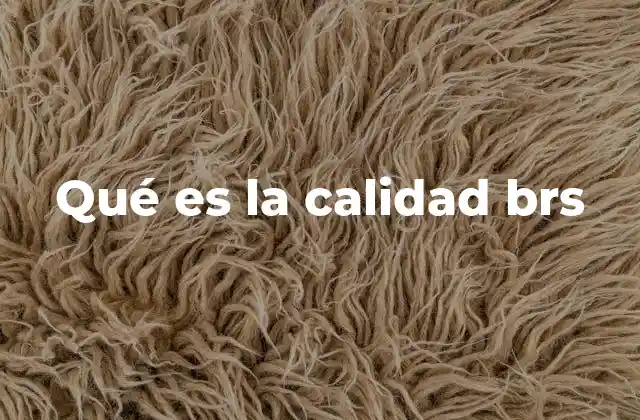 Qué es la Calidad Brs