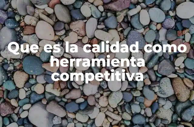 Que es la Calidad como Herramienta Competitiva