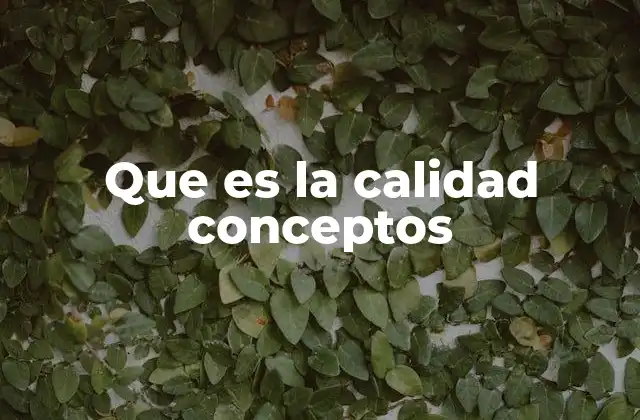 Que es la Calidad Conceptos