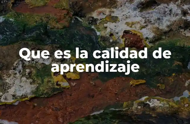 Que es la Calidad de Aprendizaje