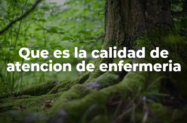 Que es la Calidad de Atencion de Enfermeria