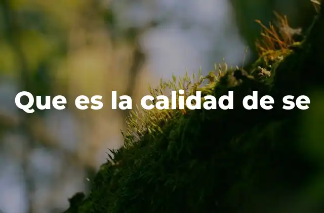 Que es la Calidad de Se