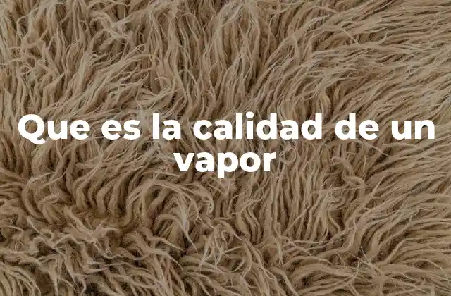Que es la Calidad de un Vapor