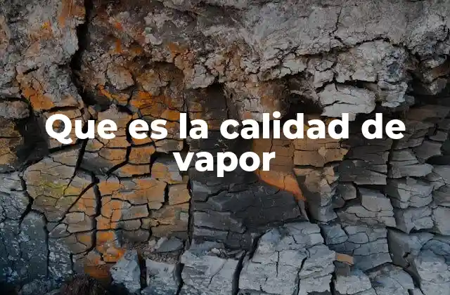 Características que definen la pureza del vapor