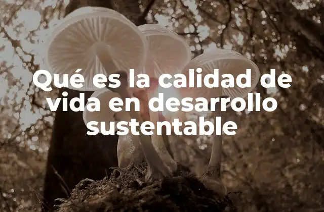Qué es la Calidad de Vida en Desarrollo Sustentable
