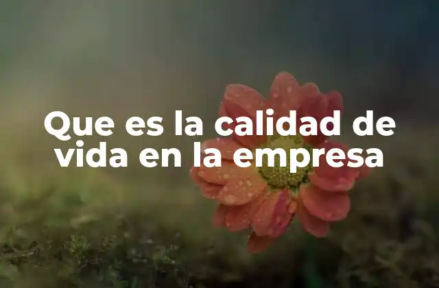 Que es la Calidad de Vida en la Empresa