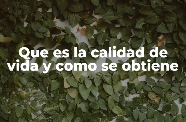 Que es la Calidad de Vida y como Se Obtiene