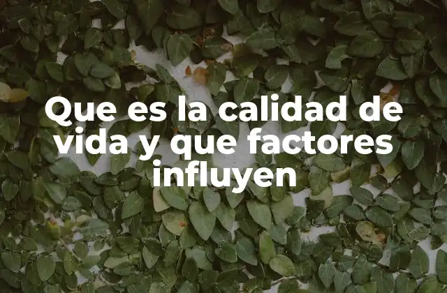 Que es la Calidad de Vida y que Factores Influyen