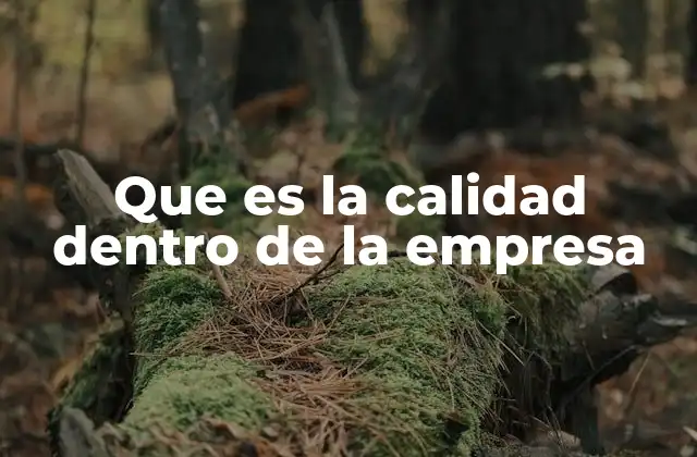 Que es la Calidad Dentro de la Empresa