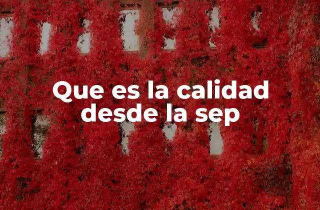 Que es la Calidad desde la Sep