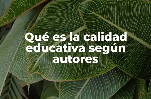 Qué es la Calidad Educativa según Autores