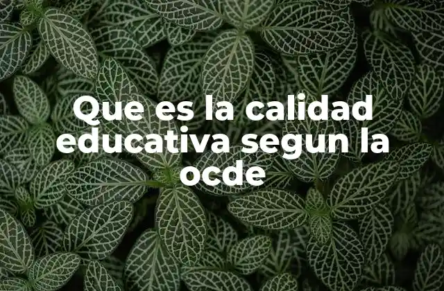 Que es la Calidad Educativa Segun la Ocde 2 La visión de la OCDE sobre la educación de calidad como herramienta de desarrollo