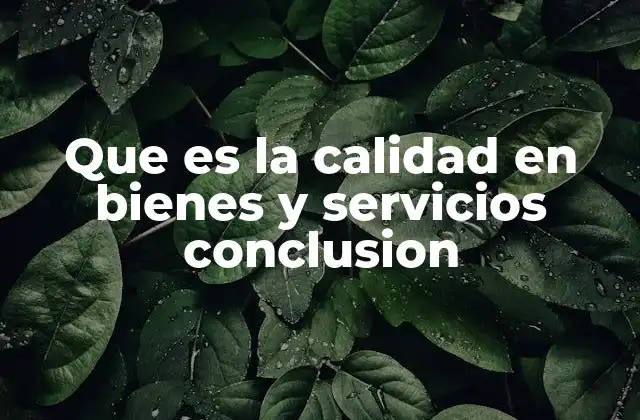 Que es la Calidad en Bienes y Servicios Conclusion