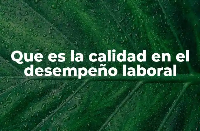 Que es la Calidad en el Desempeño Laboral