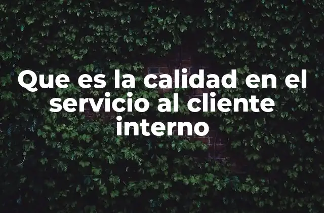 Que es la Calidad en el Servicio Al Cliente Interno