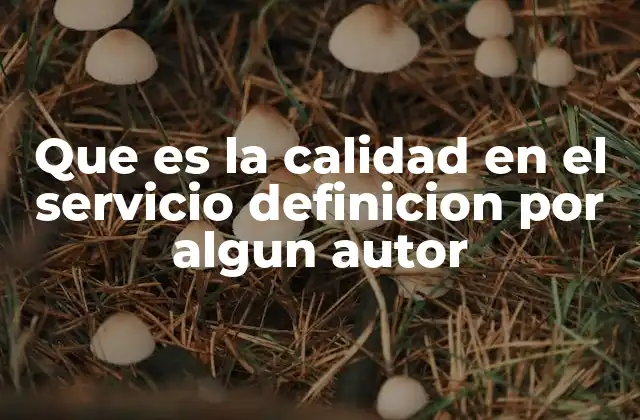 Que es la Calidad en el Servicio Definicion por Algun Autor