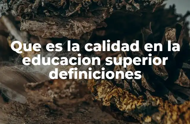 Que es la Calidad en la Educacion Superior Definiciones