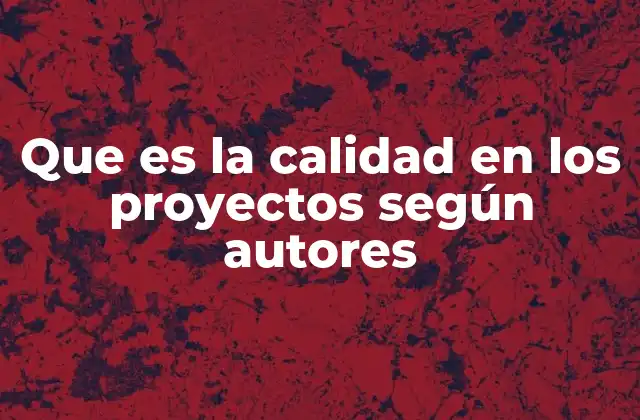 Que es la Calidad en los Proyectos según Autores