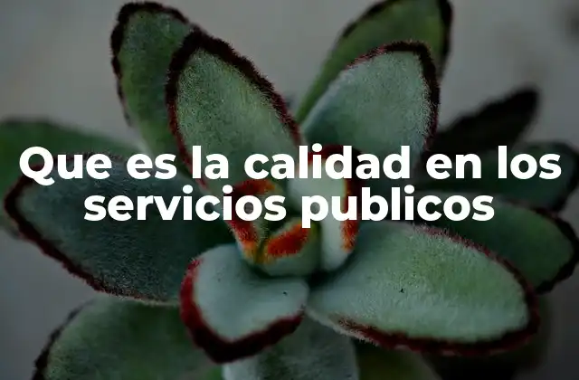 Que es la Calidad en los Servicios Publicos