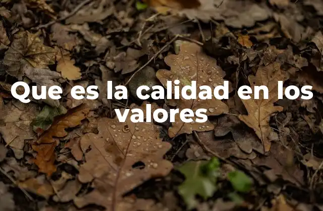 Que es la Calidad en los Valores